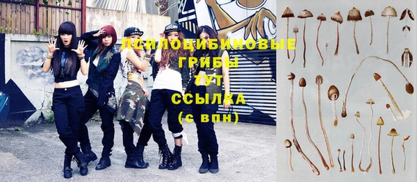 дмт Вязьма