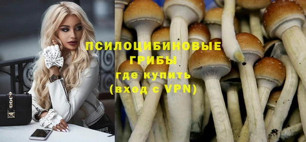 ALPHA-PVP Вяземский