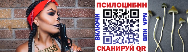 Галлюциногенные грибы GOLDEN TEACHER  Калининск 